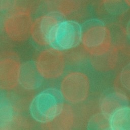 Bokeh-449